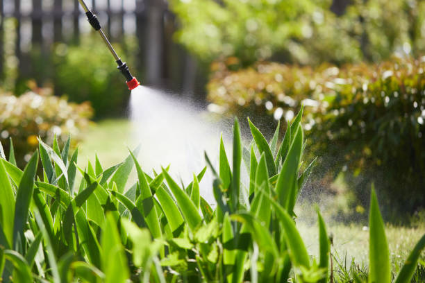 24/7 Emergency Wasp Removal experts in Franklin Park, NJ