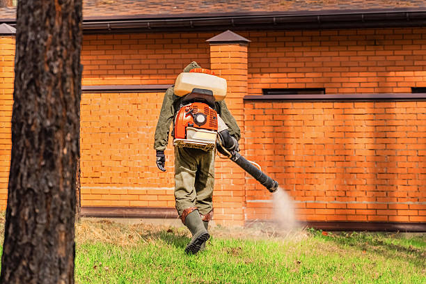 Top rated local Wasp Removal specialists in Franklin Park, NJ